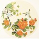 Other Birds - CNAG001513
