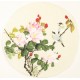 Other Birds - CNAG001514