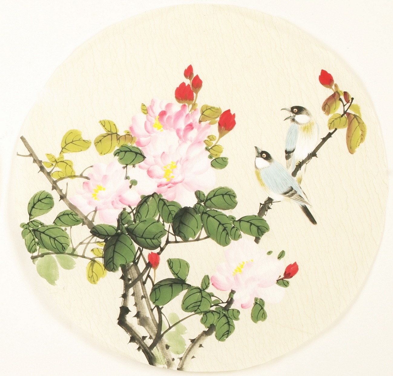 Other Birds - CNAG001514
