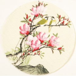 Other Birds - CNAG001515