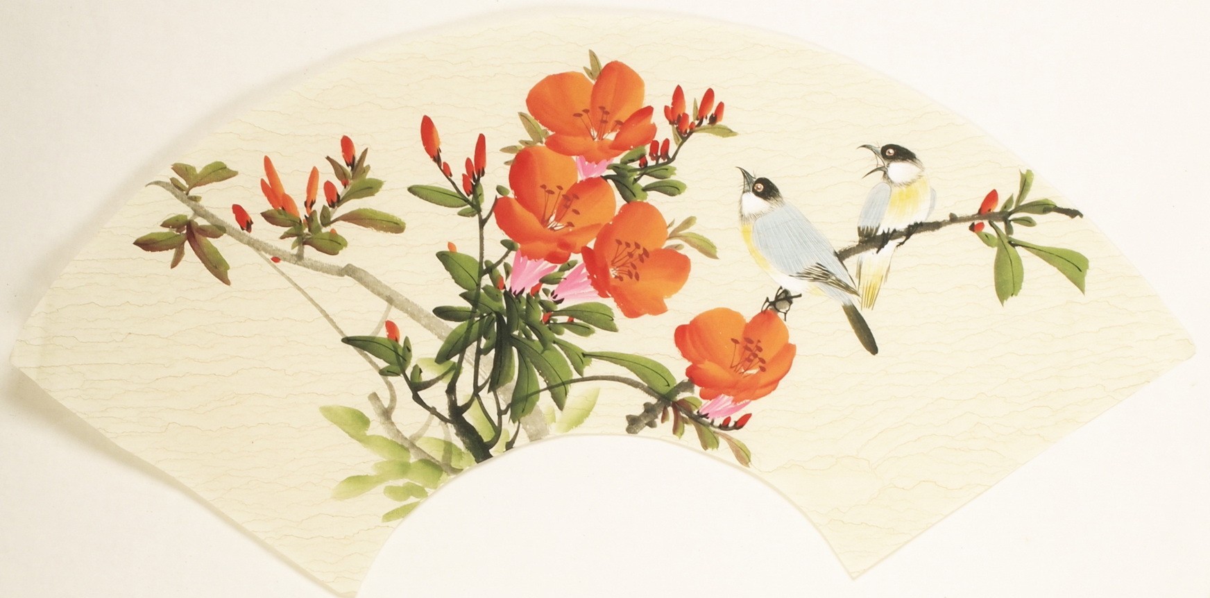 Other Birds - CNAG001517