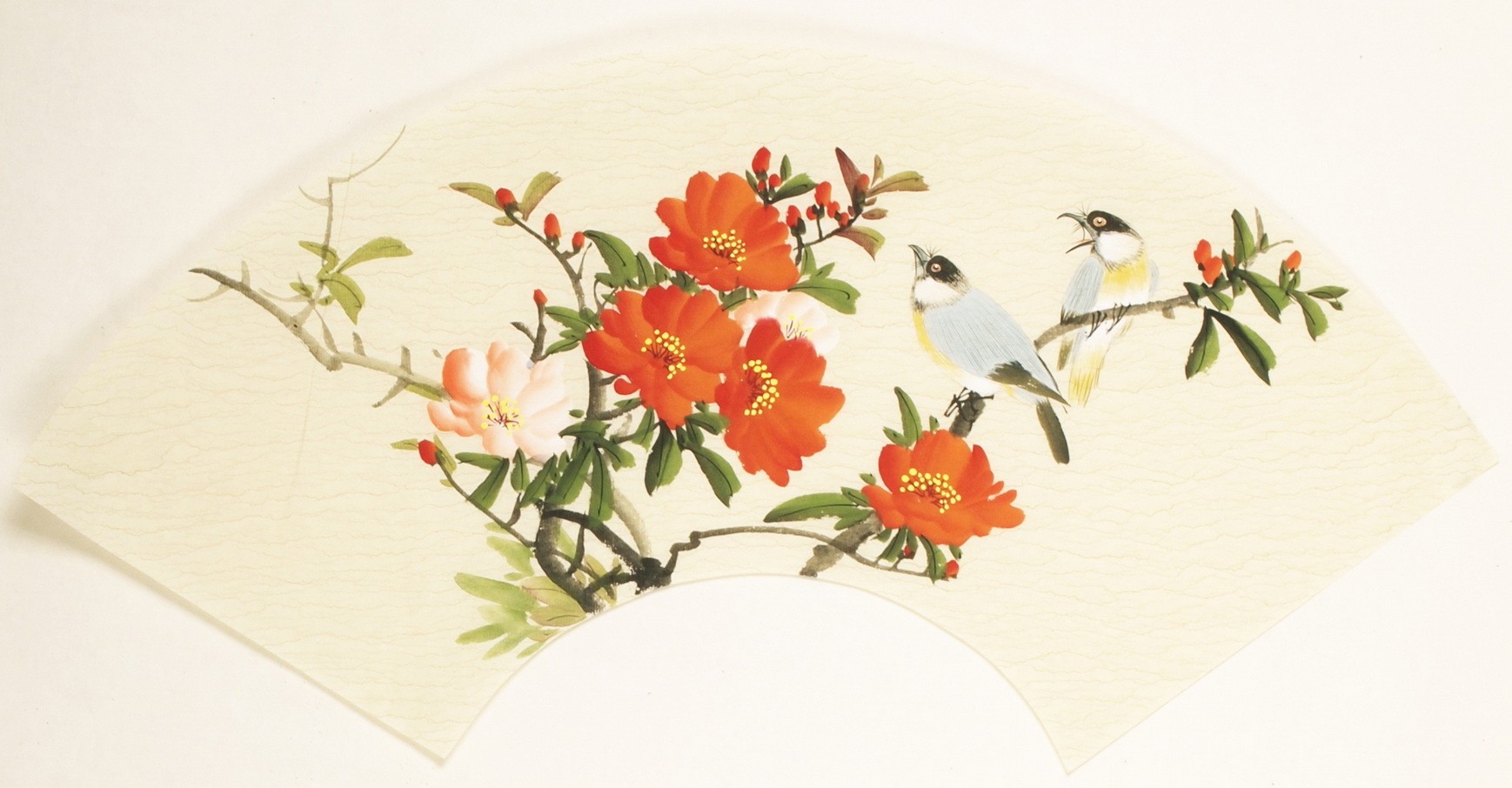 Other Birds - CNAG001518
