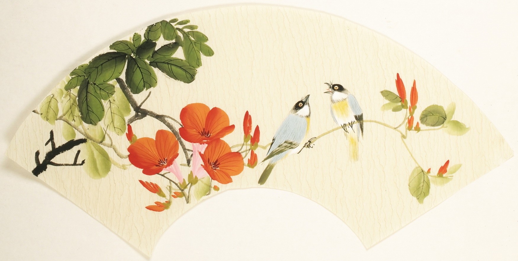 Other Birds - CNAG001519