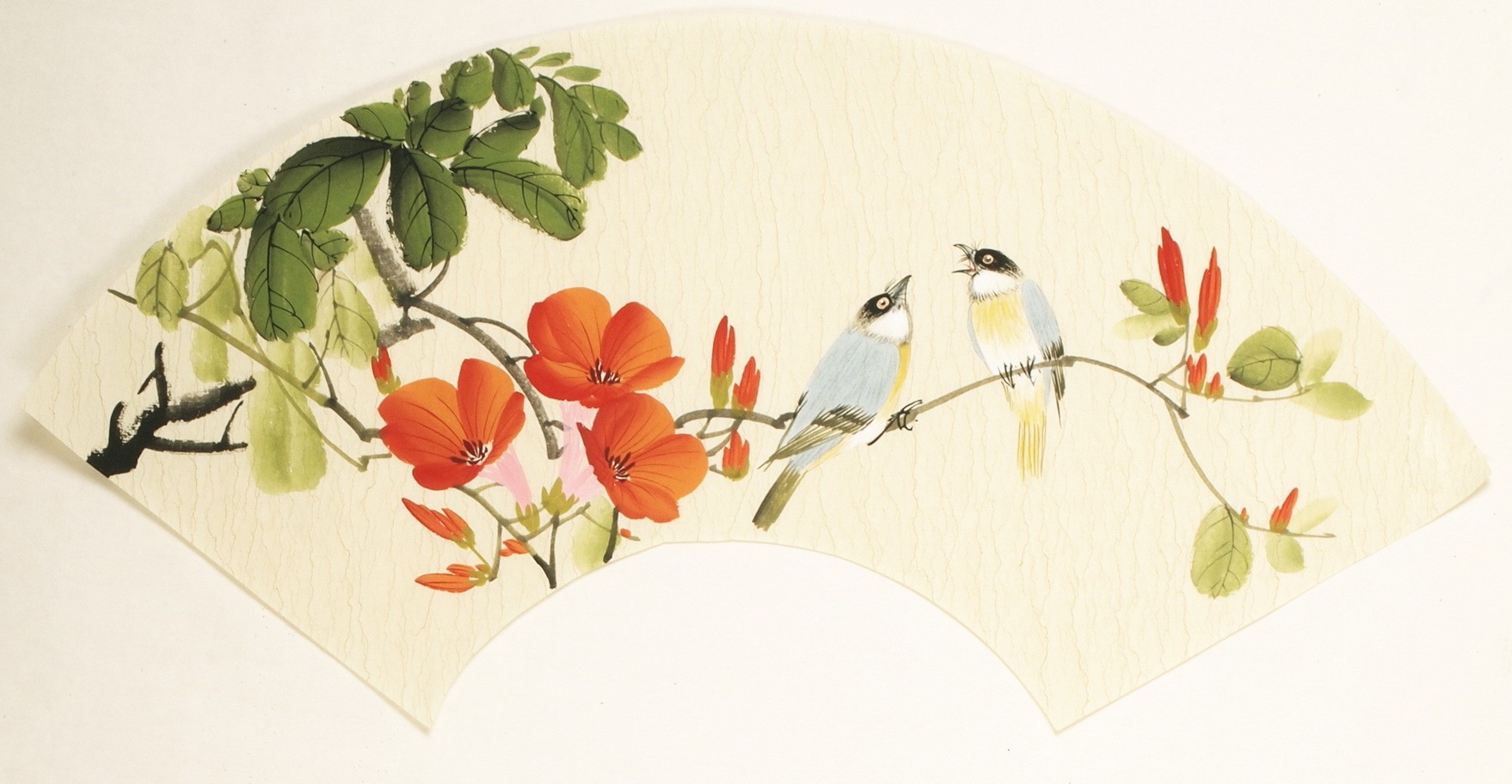Other Birds - CNAG001520