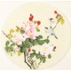 Other Birds - CNAG001524