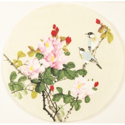Other Birds - CNAG001524