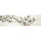 Chinese Flowers&Trees Painting - CNAG015379
