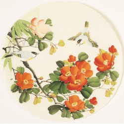 Other Birds - CNAG001526