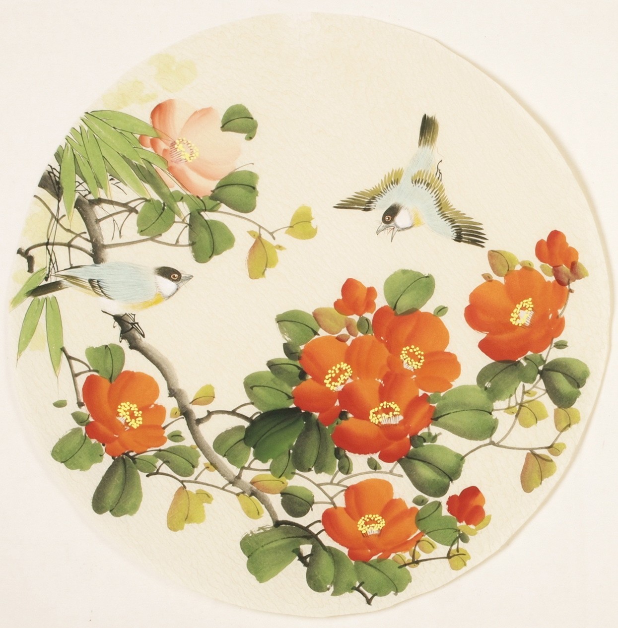 Other Birds - CNAG001527