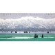 Chinese Aquarene Painting - CNAG015399