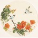 Other Birds - CNAG001531