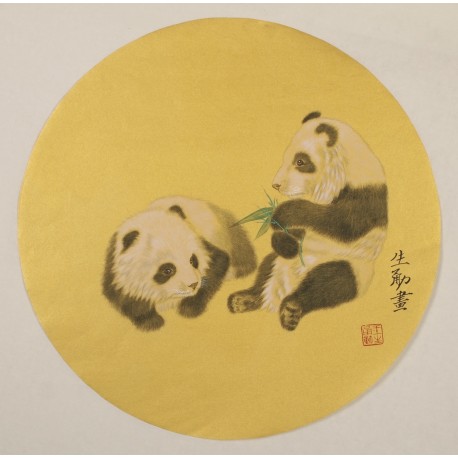 Panda - CNAG001533