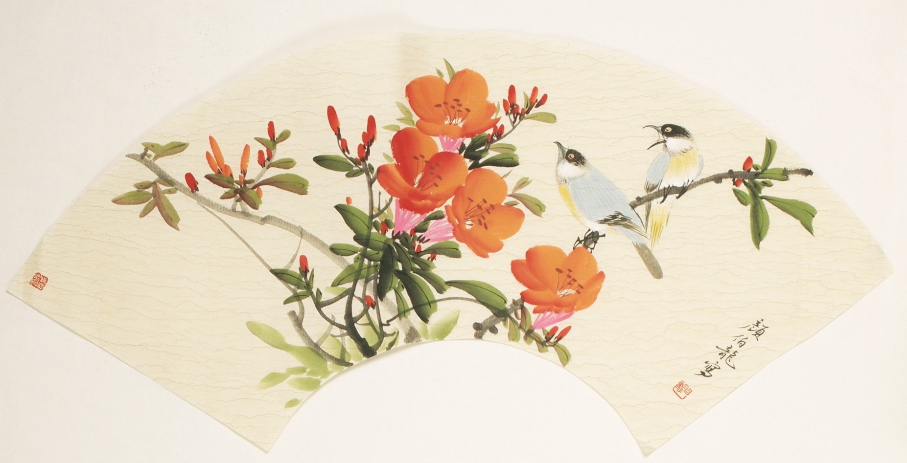Other Birds - CNAG001537