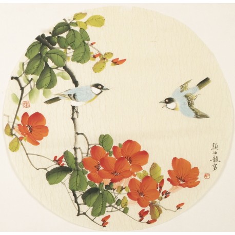 Other Birds - CNAG001539