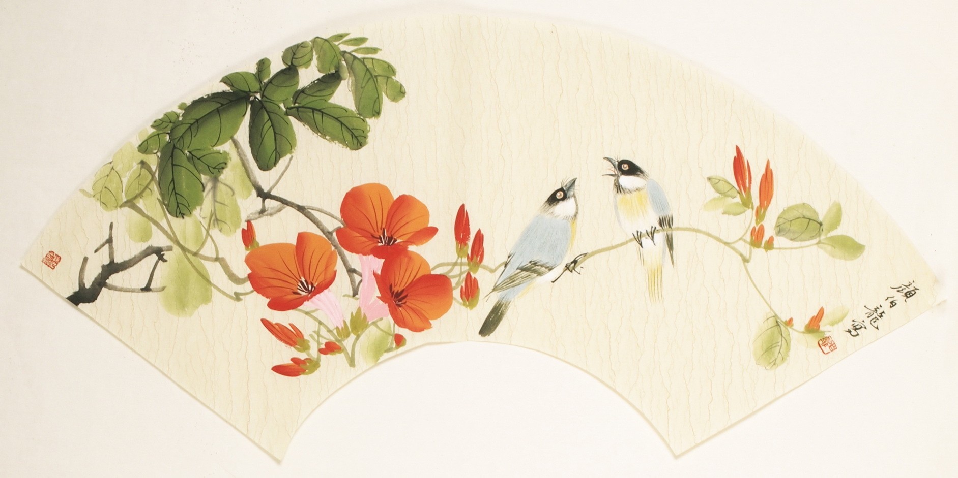 Other Birds - CNAG001540