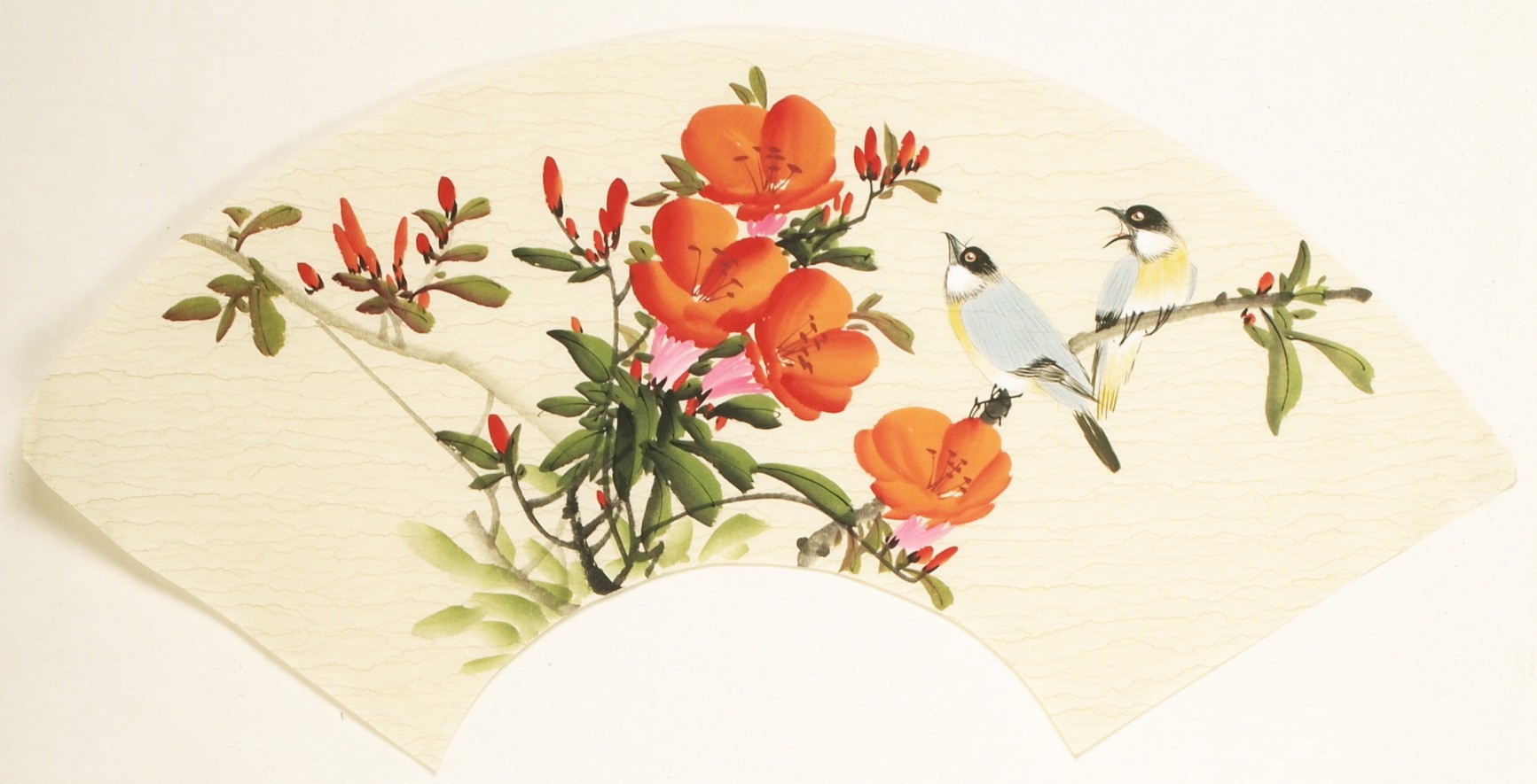 Other Birds - CNAG001543