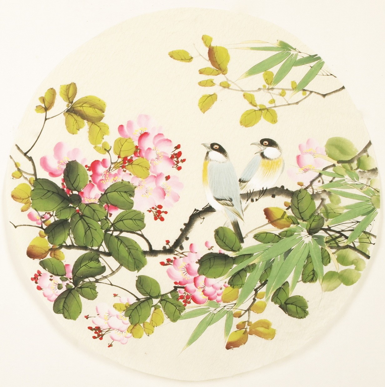 Other Birds - CNAG001544