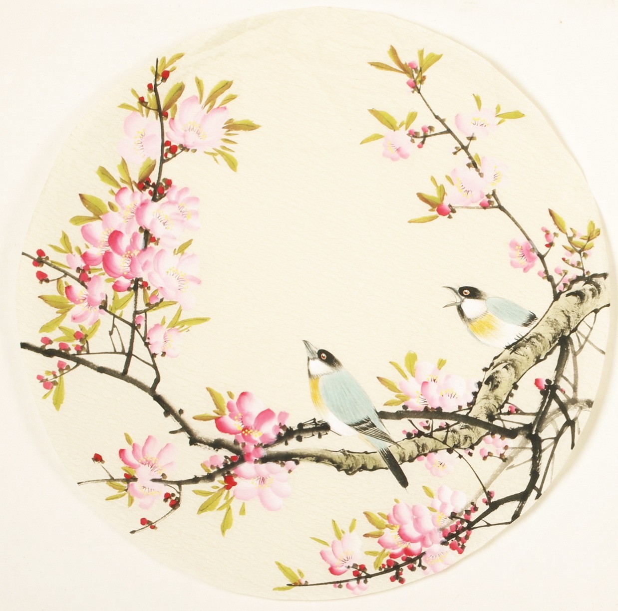 Other Birds - CNAG001545