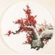 Plum - CNAG001548