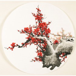 Plum - CNAG001548