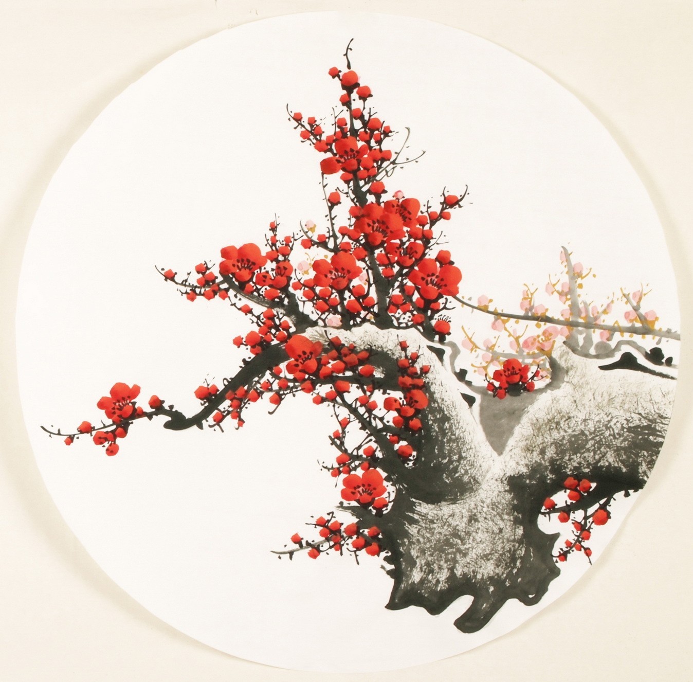 Plum - CNAG001548