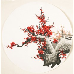 Plum - CNAG001549