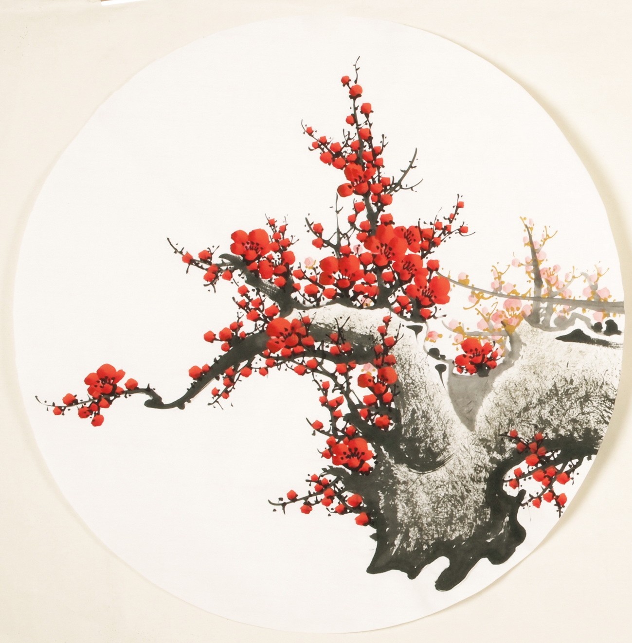 Plum - CNAG001549
