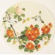 Other Birds - CNAG001555