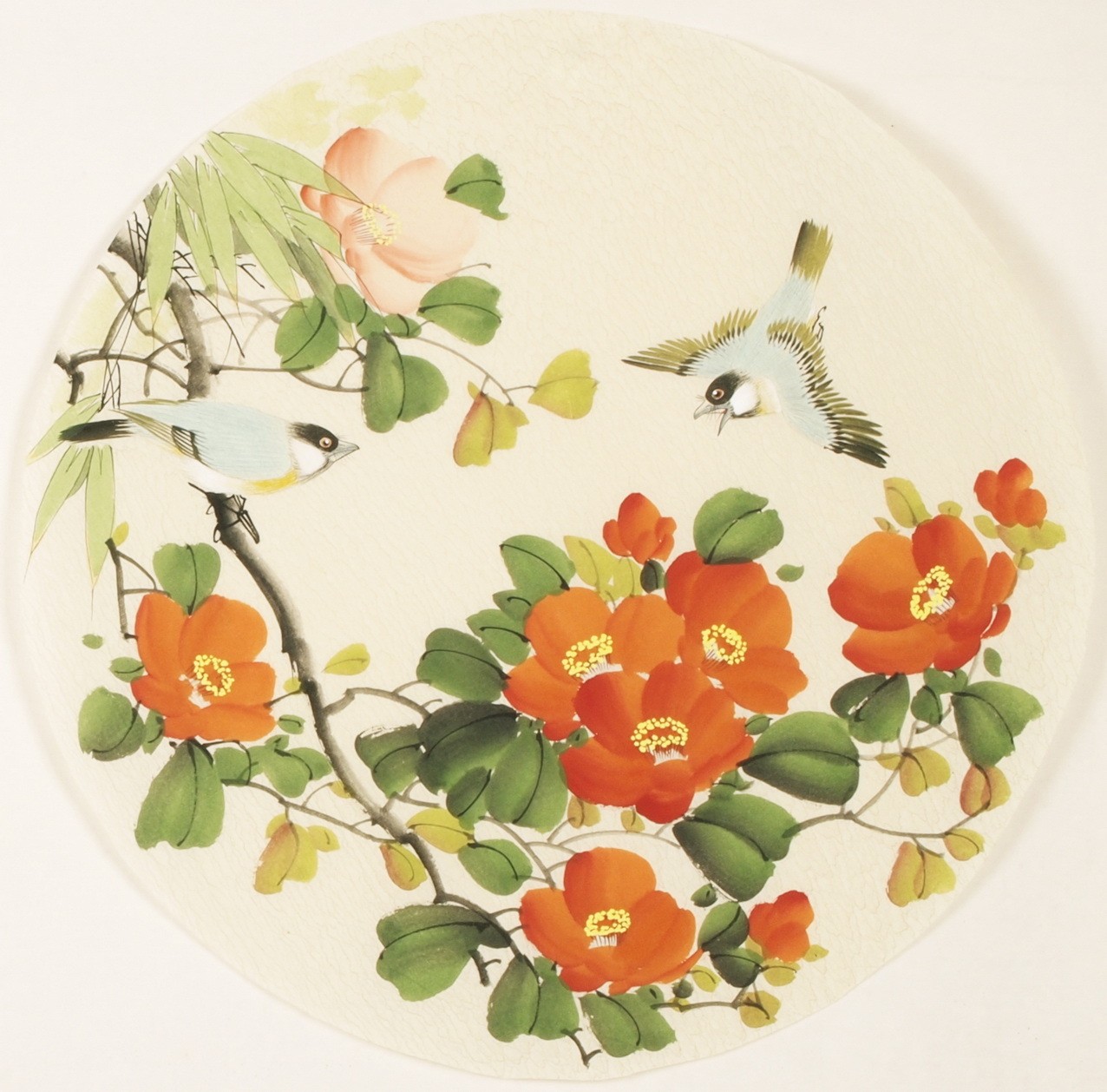 Other Birds - CNAG001555