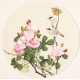 Other Birds - CNAG001556