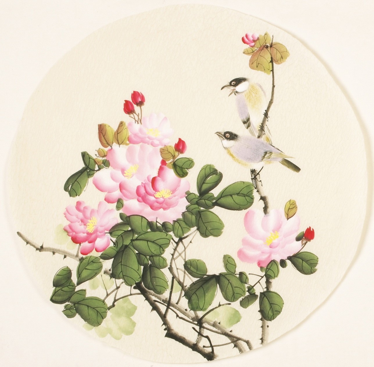 Other Birds - CNAG001556