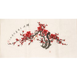Plum - CNAG001557