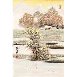 Aquarene - CNAG000156