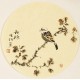 Other Birds - CNAG001564