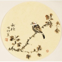 Other Birds - CNAG001564