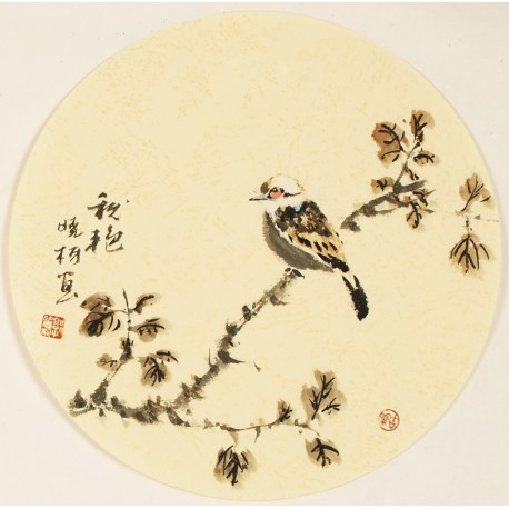 Other Birds - CNAG001564