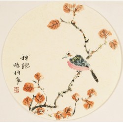 Other Birds - CNAG001565