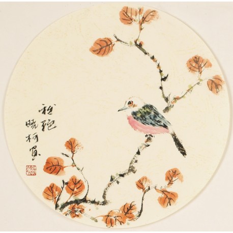 Other Birds - CNAG001565