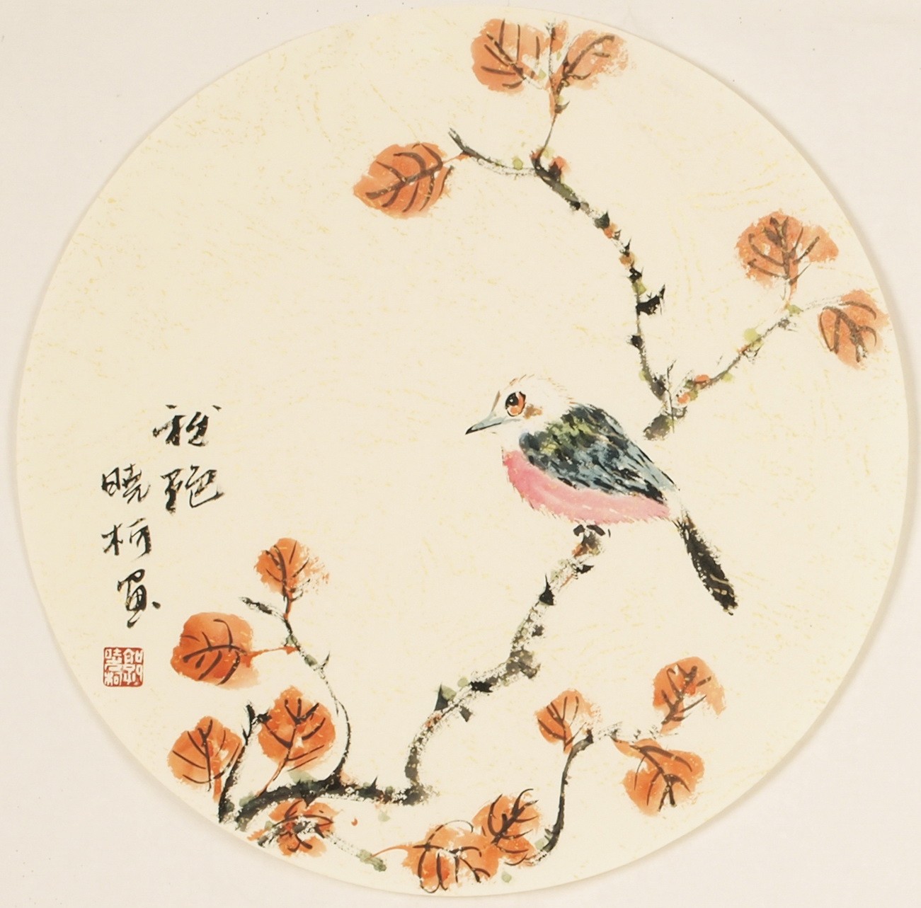 Other Birds - CNAG001565