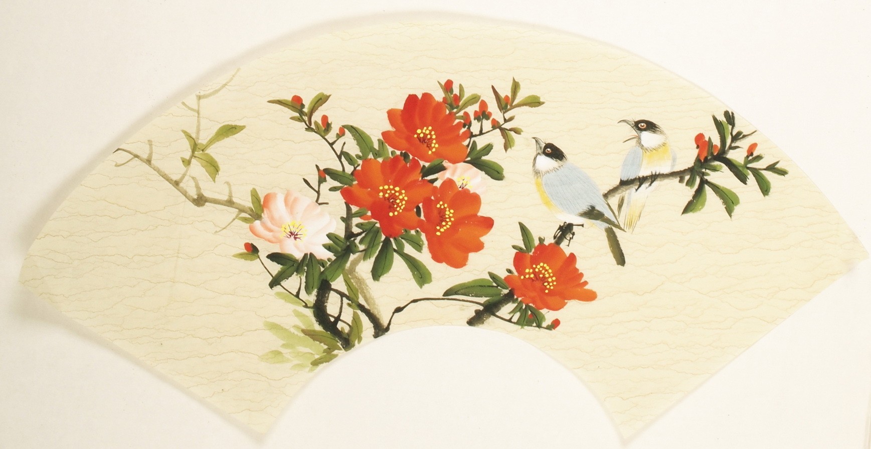 Other Birds - CNAG001567