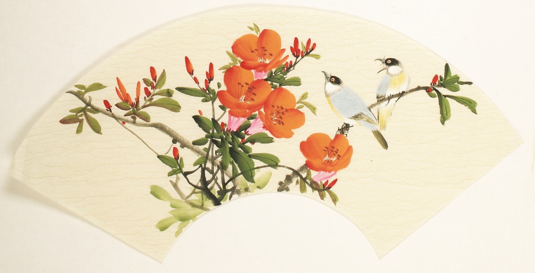 Other Birds - CNAG001568