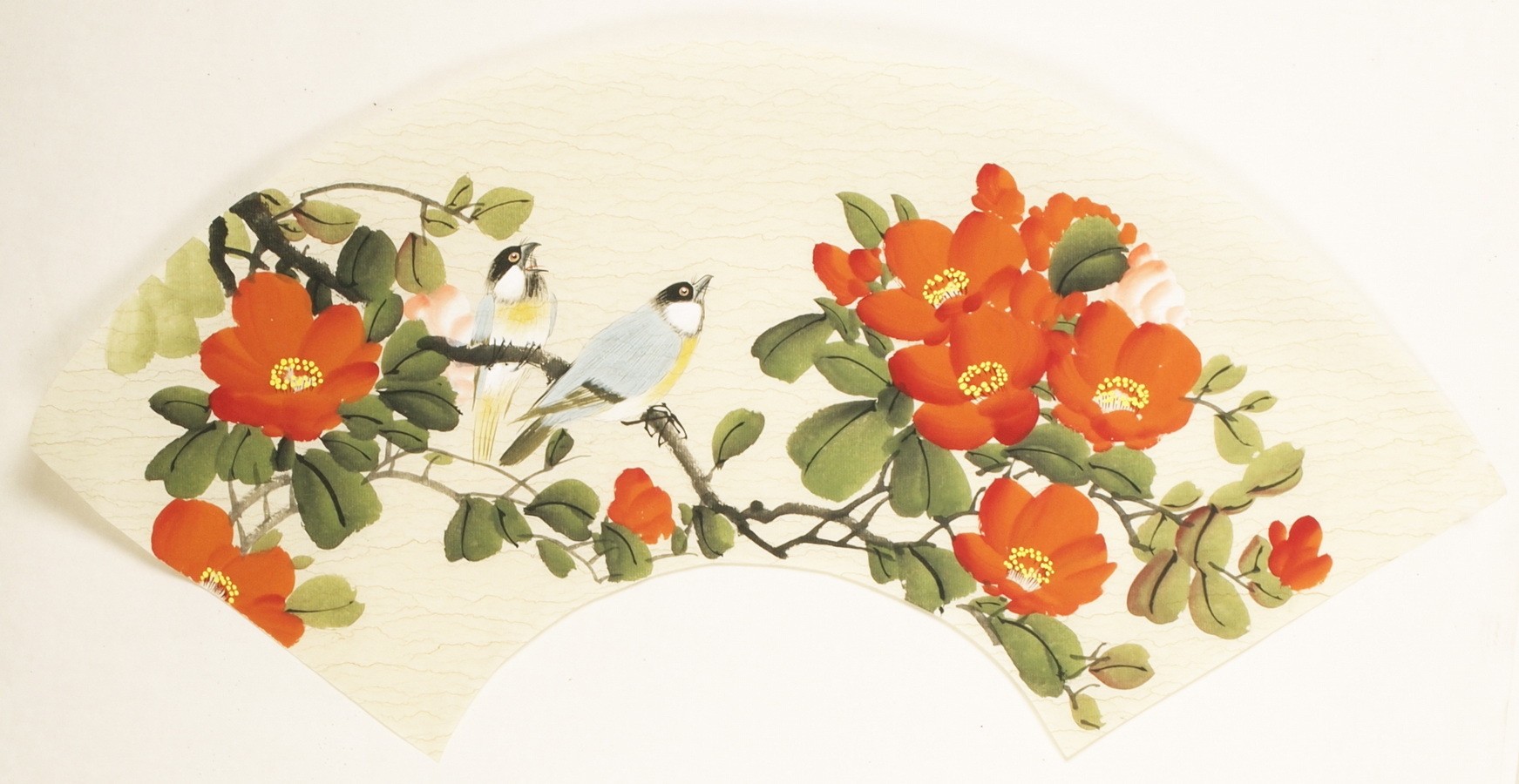Other Birds - CNAG001569