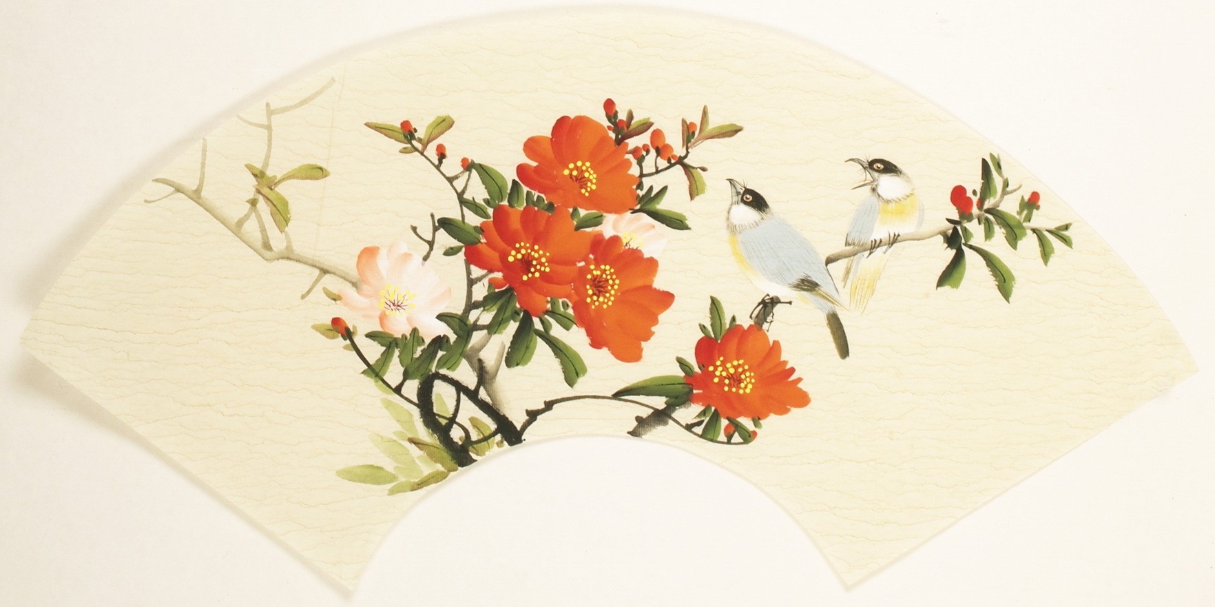 Other Birds - CNAG001570
