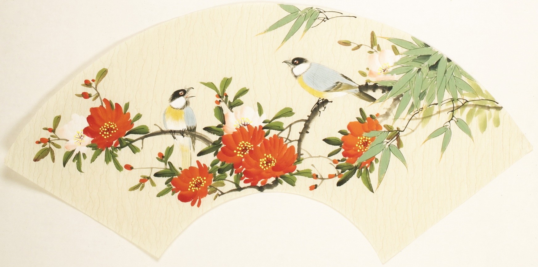 Other Birds - CNAG001571
