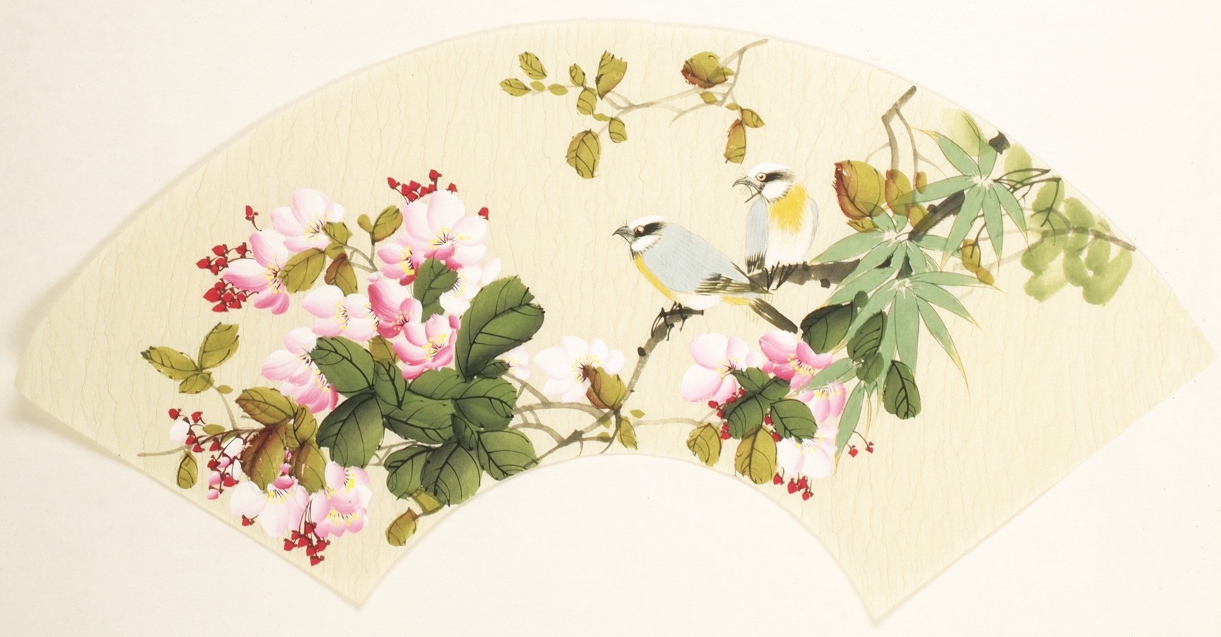 Other Birds - CNAG001572