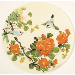 Other Birds - CNAG001573