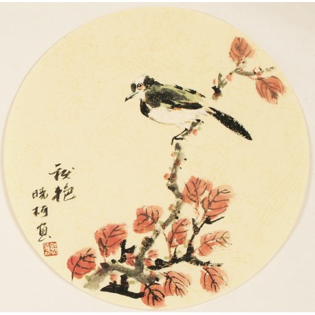 Other Birds - CNAG001585