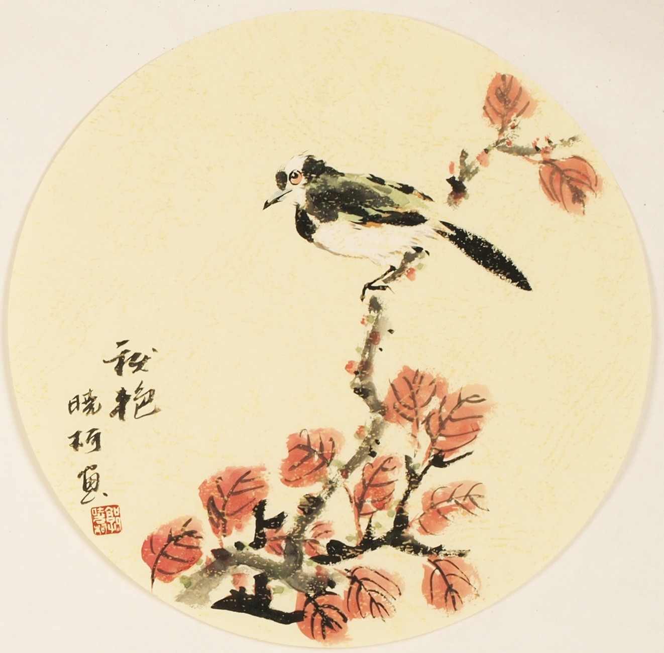 Other Birds - CNAG001585