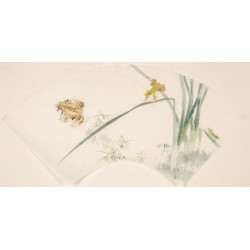 Grasshopper - CNAG001592
