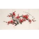 Plum - CNAG001593